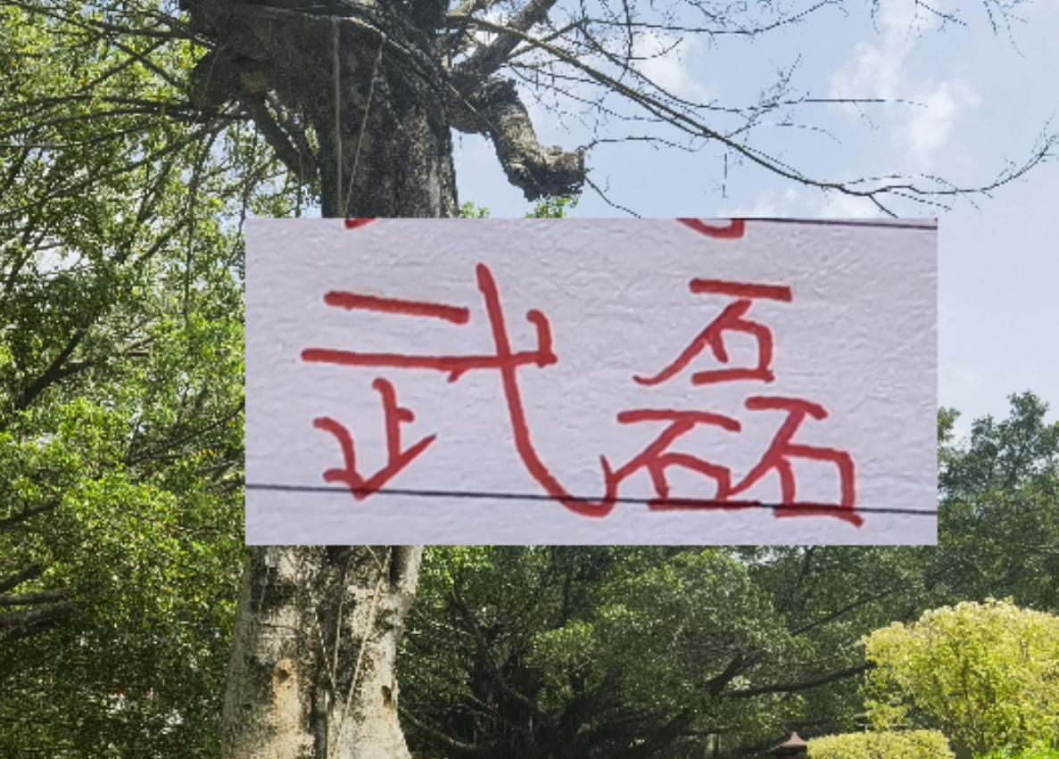 开云体育官网-2月海港就要打亚冠比赛 大概率武磊+莱昂纳多 这些一哥上不了